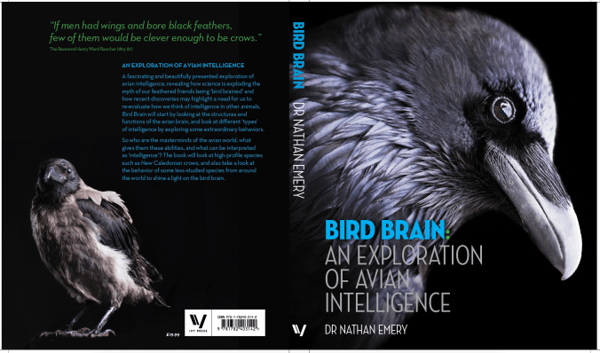 Bird Brain Cover.png