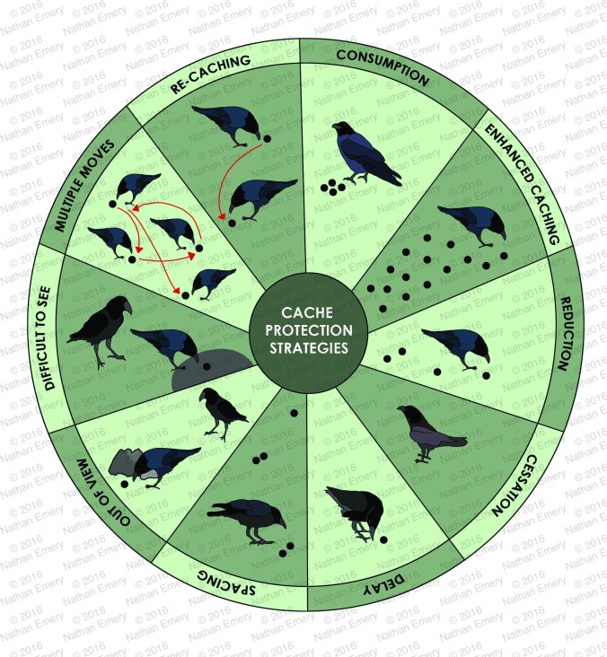 Cache Protection
