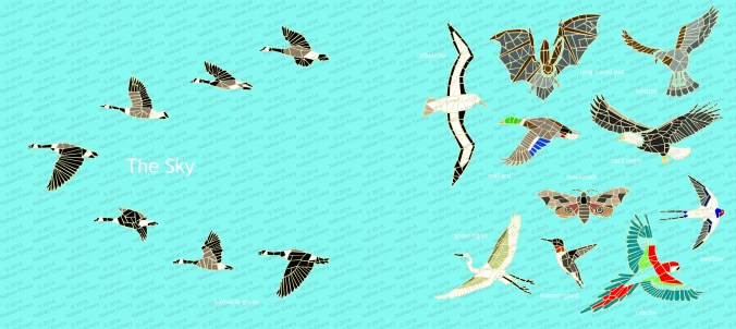 The Sky