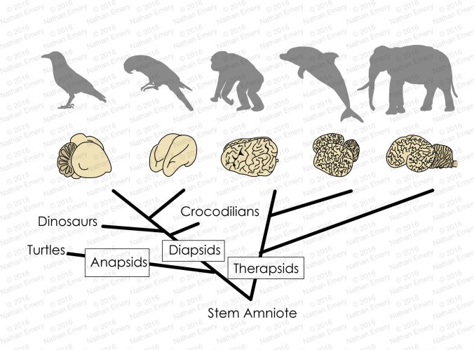 Welcome to the Clever Club